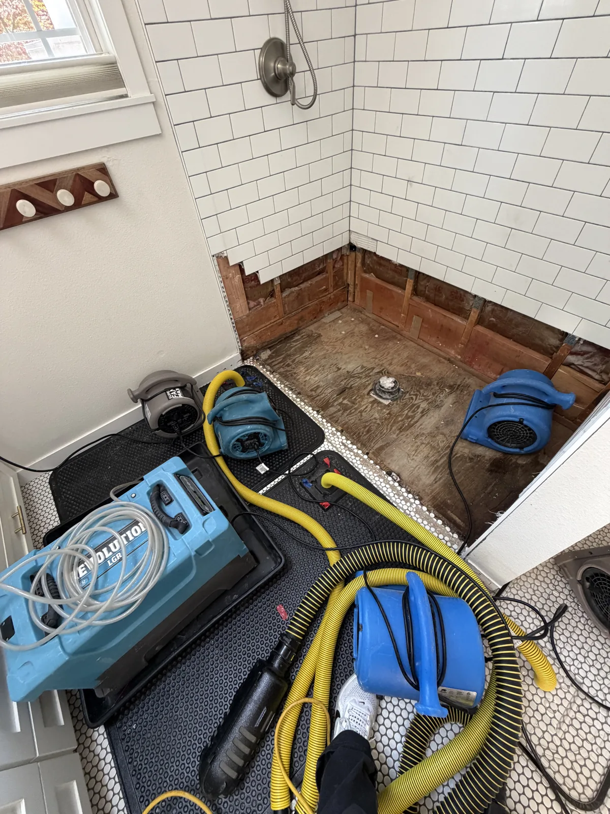 Bellevue: The shower base opened for access, with floor drying mats and equipment nearby.