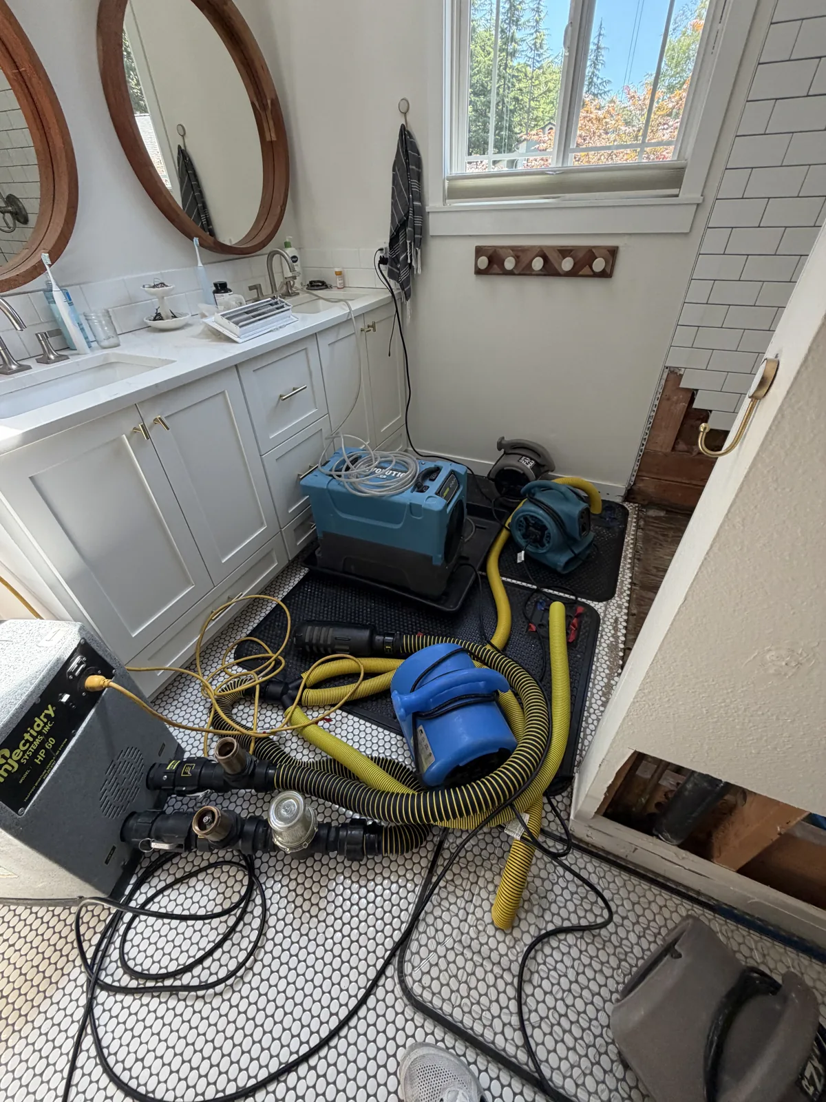 Bellevue: Drying mats and hoses treating the bathroom floor beside the opened shower.