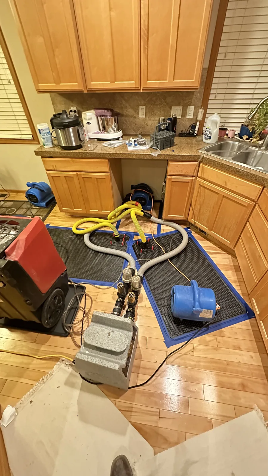 Redmond: Connected drying mats and hoses treating the hardwood floor in place.