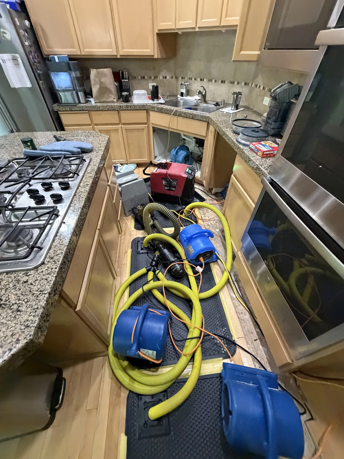 Sammamish: Injectidry mats treating the remaining hardwood around the kitchen cabinets.