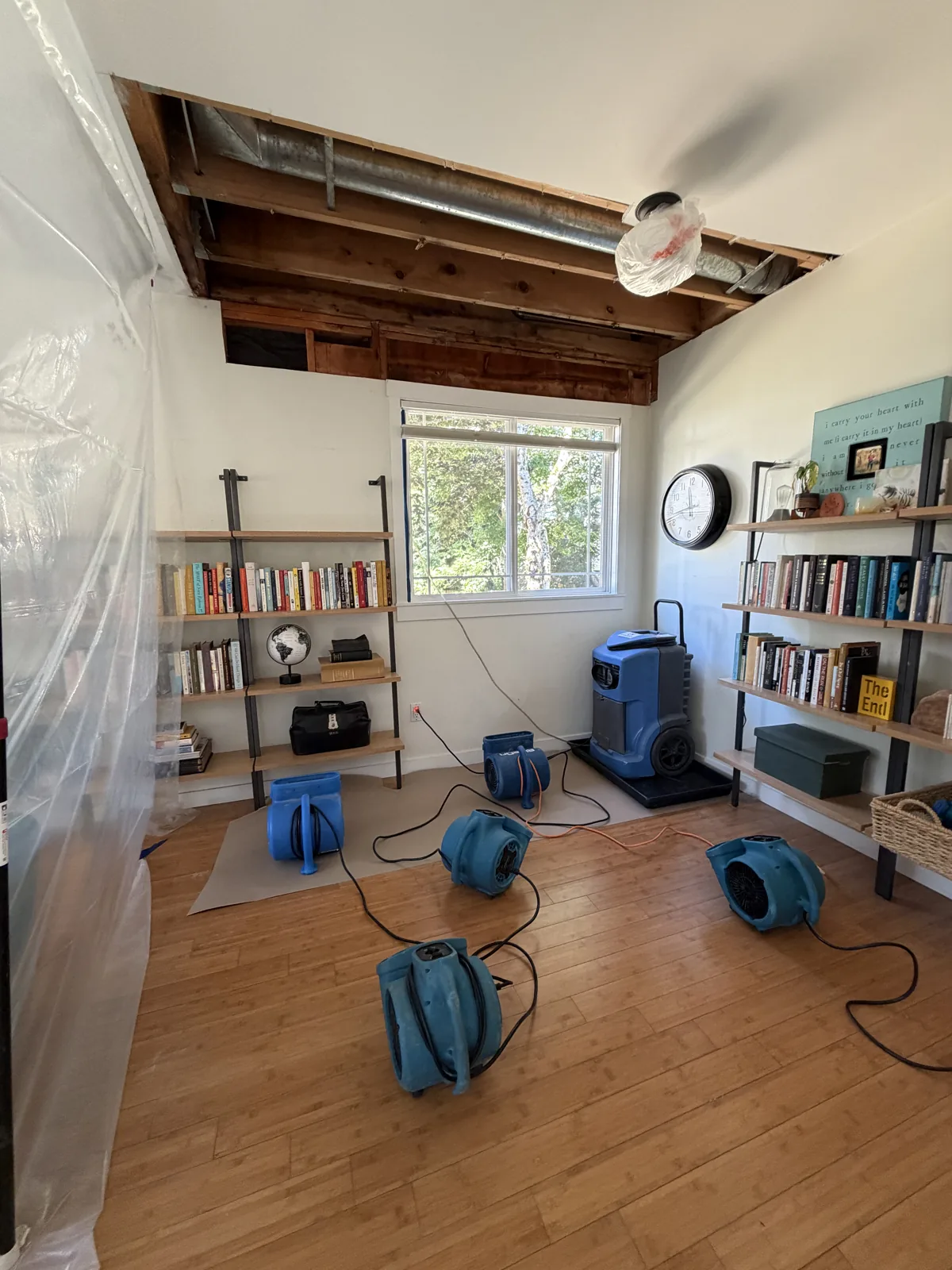 Woodinville: Ceiling materials removed to expose the framing and subfloor for drying.